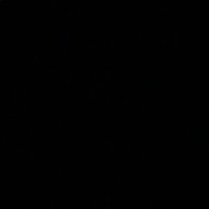 Meet your Posher, Lerell